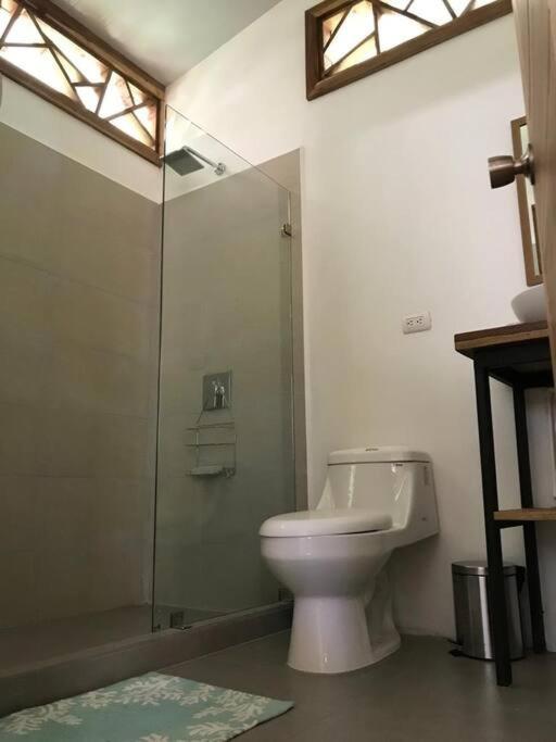 Little Yemanja Bungalow Puerto Viejo de Talamanca المظهر الخارجي الصورة
